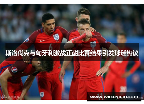 斯洛伐克与匈牙利激战正酣比赛结果引发球迷热议